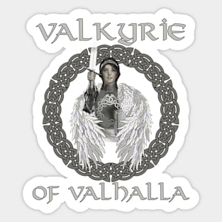 Valkyrie's Valor: Norse Mythology Unveiled-Viking Sticker